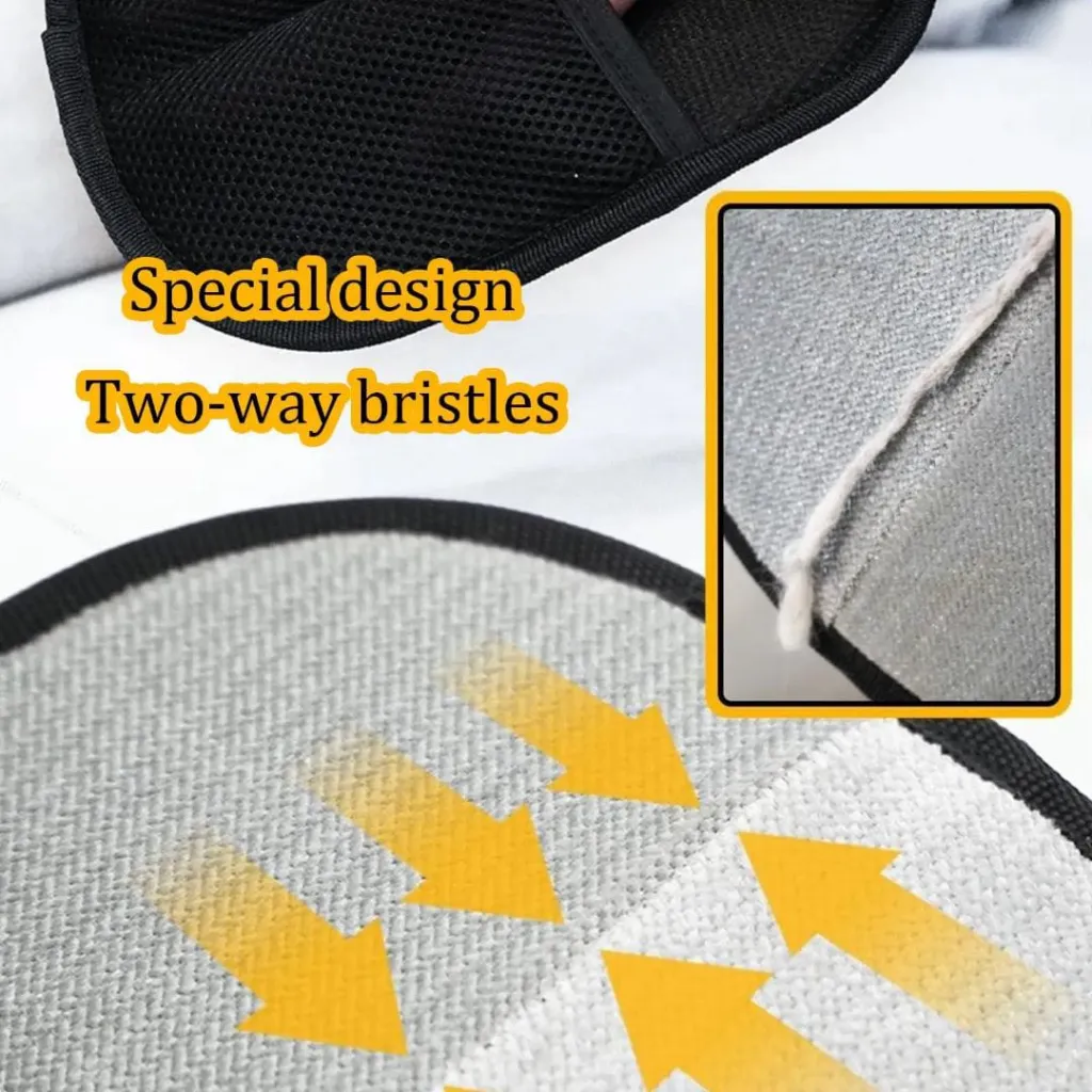 WhatsApp Image 2026-01-09 at 6.01.16 PM.webp